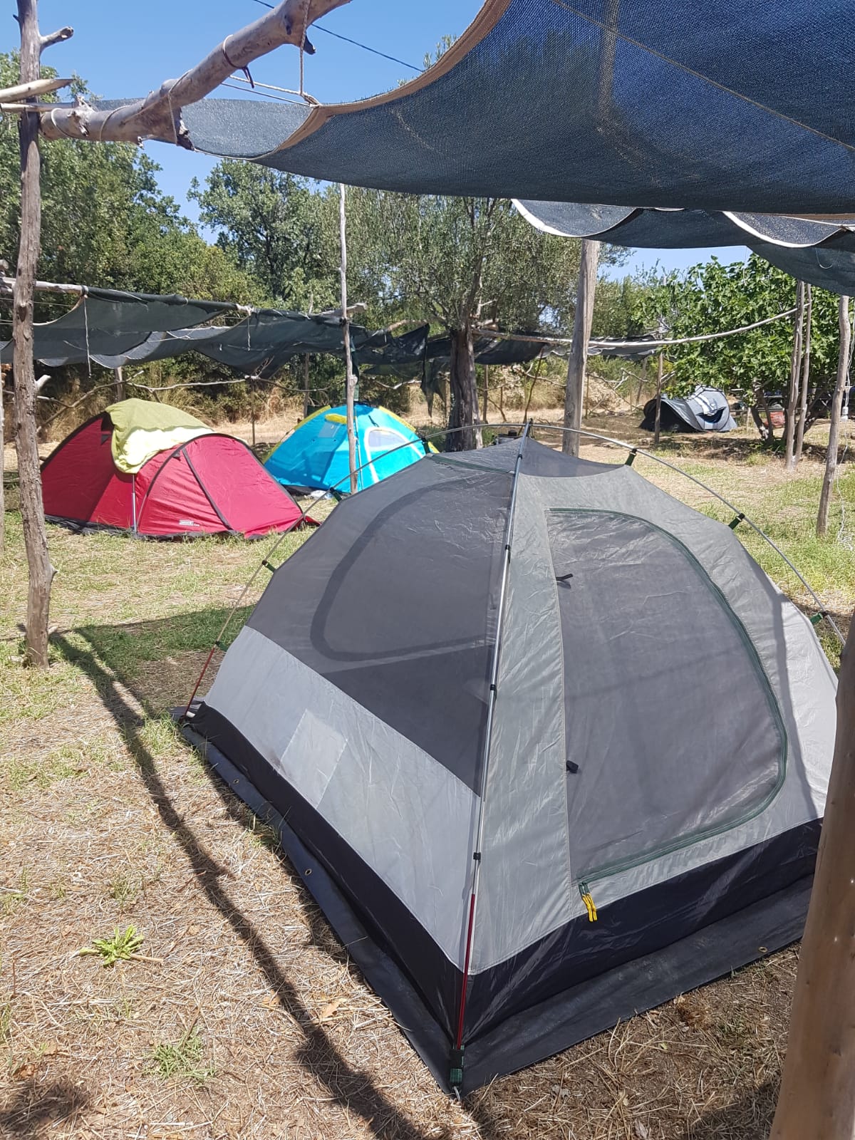 Assos Rüzgar Bungalow Evler